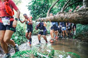 BIB: 
                            <button type="button" onclick="openModal(25473078)" class="btn btn-primary btn-sm float-right btn-popup" data-toggle="modal" data-target=".modal-high-quality">
                        <i class="fas fa-shopping-cart"></i> Add to Cart
                    </button>
                                            <button type="button" onclick="isThisMe(25473078, true)" class="btn btn-success btn-sm float-right btn-popup btn-isme hidden" data-toggle="tooltip" data-placement="bottom" title="นี่คือรูปของคุณใช่ไหม คลิกที่นี่เพื่อเอาเข้าอัลบั้ม">
                        <i class="fas fa-plus"></i> Add to album
                    </button>
                    <button type="button" onclick="isThisMe(25473078, false)" class="btn btn-warning btn-sm float-right btn-popup btn-isnotme hidden">
                        <i class="fas fa-ban"></i> Remove from album
                    </button>